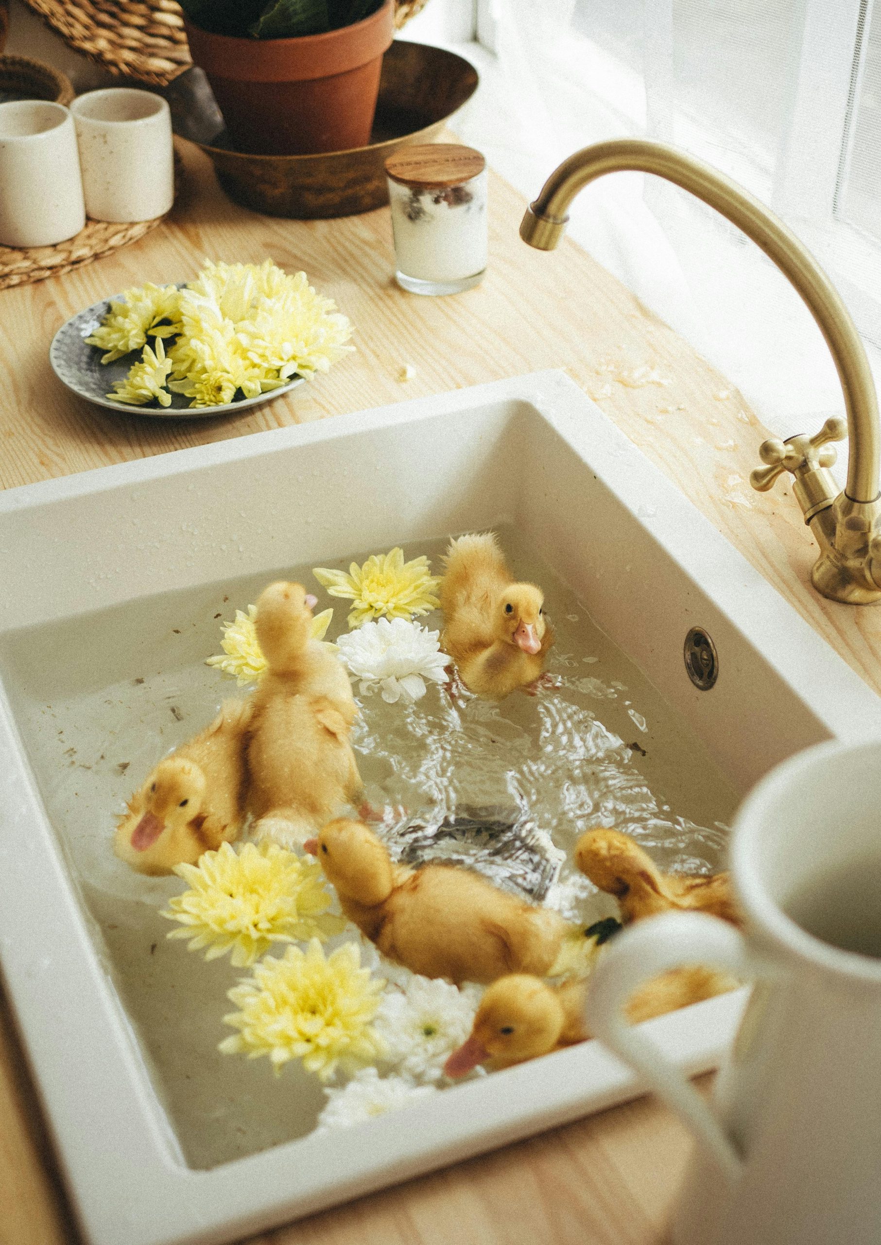 You are currently viewing Masalah Sink Tersumbat? Ini Cara Untuk Atasinya Tanpa Guna Bahan Kimia